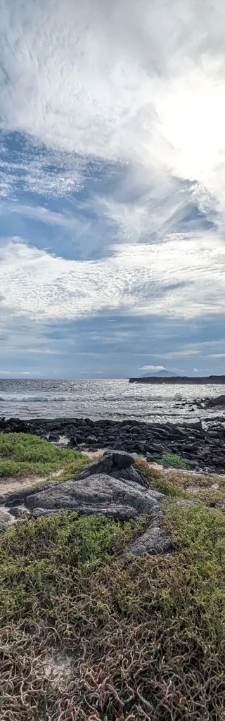 Galapagos – faszinierende Tierwelt mit dem Schiff entdecken
